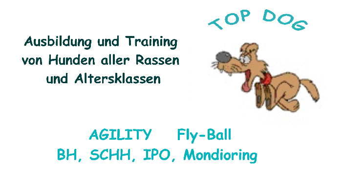 Unser privater Trainingsplatz: wir bieten ein vielseitiges Programm mit individueller Frderung in allen Sportbereichen!